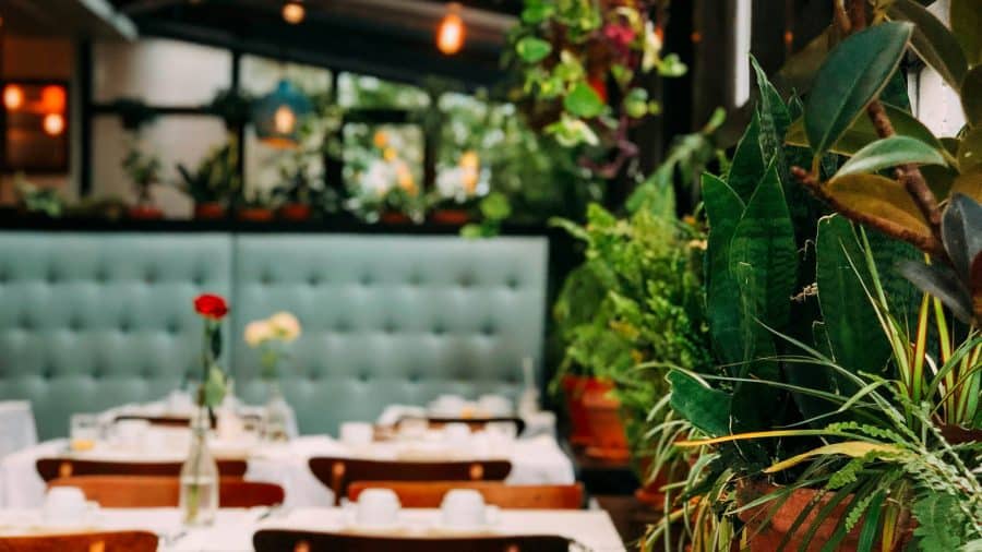 Les saveurs du Mexique : à la découverte des restaurants mexicains !